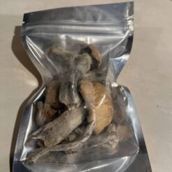 Blue Meanie Magic Mushroom