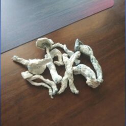 Hawaiian Magic Mushrooms