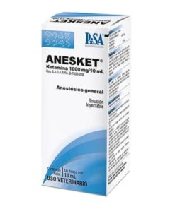 Anesket 1000mg/10ml